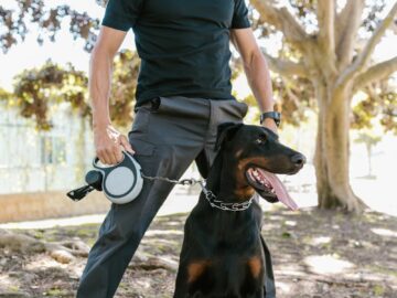 A man stands confidently with his Doberman on a leash in a sunny park.