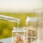 Close-up of a pipette adding liquid to a jar with a flower, outdoors in daylight.