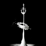 Intricate milk splash captured perfectly with high-speed photography technique.