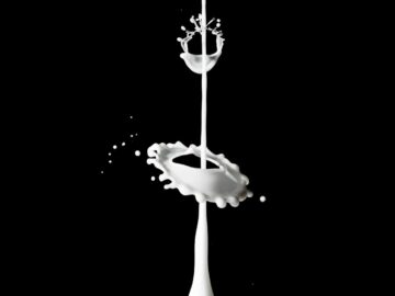 Intricate milk splash captured perfectly with high-speed photography technique.