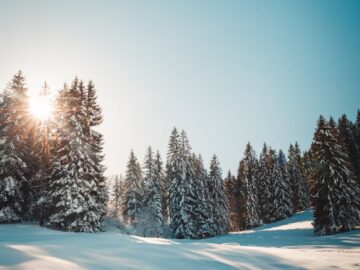 Sunlit winter scene in Troistorrents, Suisse, showcasing snow-covered trees and bright sky.