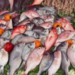 Colorful assortment of fresh fish and vegetables at a bustling market.