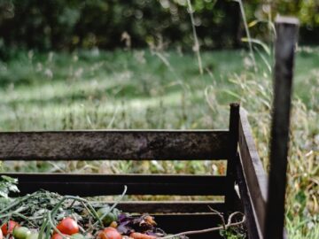 Wooden compost bin in an Estonian garden with organic waste and vegetables.