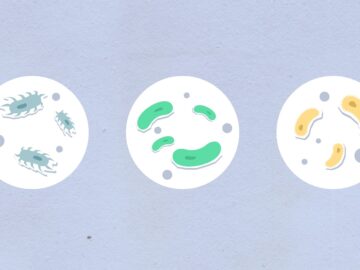 Creative illustration of microorganisms with colorful designs against a gray background.