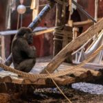 A gorilla sits calmly on a wooden platform in a zoo enclosure filled with natural materials.