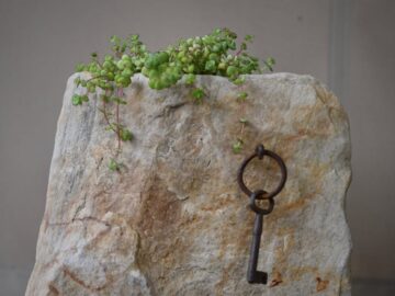 A rustic stone planter with vibrant greenery cascading over an antique key, perfect for nature-themed decor.