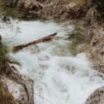 A dynamic mountain stream cascading over rocks and carrying a log through a lush forest.