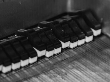Intricate black and white photo capturing the details of piano keys and strings in a serene setting.