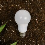 An LED light bulb rests on soil with green leaves in view. Sustainable energy concept.