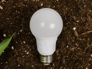 An LED light bulb rests on soil with green leaves in view. Sustainable energy concept.