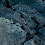 Detailed image of cracked rocks at Cabarita Beach, highlighting unique textures and geology.