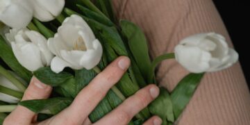 Close-up of diverse hands holding a bouquet of white tulips in a warm embrace.