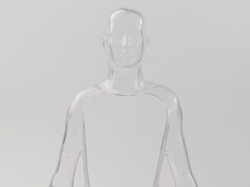 A transparent anatomical model showcasing human features, ideal for educational and medical use.