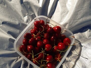 Fresh cherries in a plastic container on a shiny surface, capturing the essence of summer.