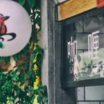 green leafed plant beside grey concrete post