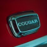 red and silver car door