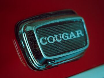 red and silver car door