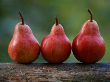 three red pear fruits