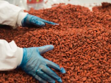 person holding grains on table