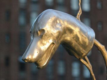a close up of a statue of a dog's head