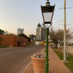 A lamp post with a potted plant on the side of it